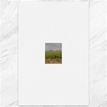 Vineyard Under the Clouds Canvas 12  x 18 