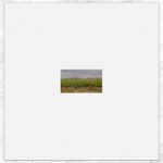Vineyard Under the Clouds Canvas 16  x 16 