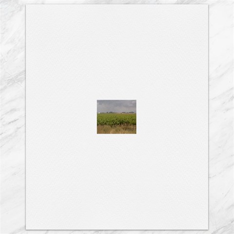 Vineyard Under the Clouds Canvas 16  x 20  from ArtsNow.com 15.75 x19.29  Canvas - 1
