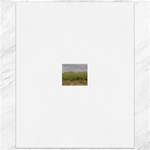 Vineyard Under the Clouds Canvas 16  x 20 