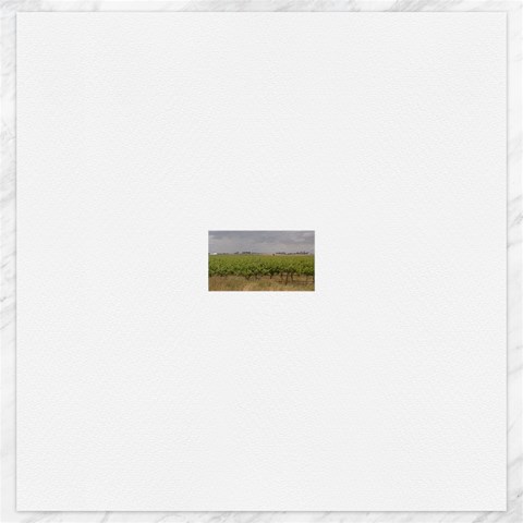 Vineyard Under the Clouds Canvas 20  x 20  from ArtsNow.com 19 x19.27  Canvas - 1