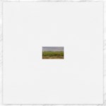 Vineyard Under the Clouds Canvas 20  x 20 