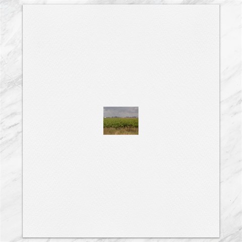 Vineyard Under the Clouds Canvas 20  x 24  from ArtsNow.com 19.57 x23.15  Canvas - 1