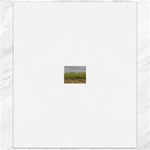 Vineyard Under the Clouds Canvas 20  x 24 