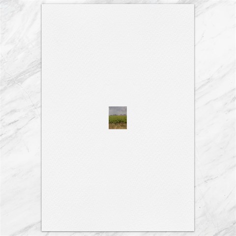 Vineyard Under the Clouds Canvas 24  x 36  from ArtsNow.com 23.35 x34.74  Canvas - 1