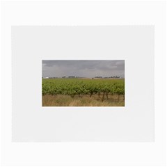 Vineyard Under the Clouds Glasses Cloth (Small, Two Sides) from ArtsNow.com Back