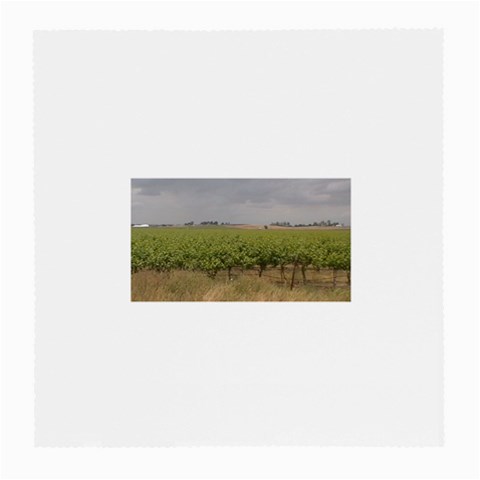 Vineyard Under the Clouds Glasses Cloth (Medium, Two Sides) from ArtsNow.com Front