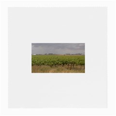 Vineyard Under the Clouds Glasses Cloth (Medium, Two Sides) from ArtsNow.com Back