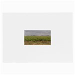 Vineyard Under the Clouds Glasses Cloth (Large, Two Sides)