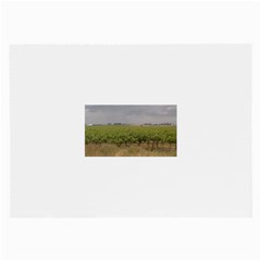Vineyard Under the Clouds Glasses Cloth (Large, Two Sides) from ArtsNow.com Back