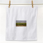 Vineyard Under the Clouds Face Towel