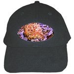  Purple Baby s Breath and Dried Orange Protea  by Ruth Edward Anderson - Black Cap
