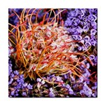  Purple Baby s Breath and Dried Orange Protea  by Ruth Edward Anderson - Tile Coaster