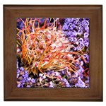  Purple Baby s Breath and Dried Orange Protea  by Ruth Edward Anderson - Framed Tile