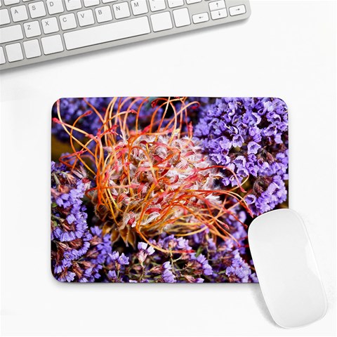  Purple Baby s Breath and Dried Orange Protea  by Ruth Edward Anderson Front