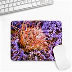  Purple Baby s Breath and Dried Orange Protea  by Ruth Edward Anderson - Small Mousepad