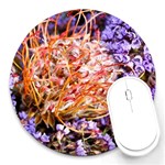  Purple Baby s Breath and Dried Orange Protea  by Ruth Edward Anderson - Round Mousepad