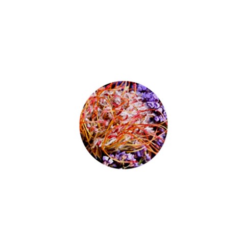  Purple Baby s Breath and Dried Orange Protea  by Ruth Edward Anderson Front