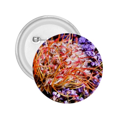  Purple Baby s Breath and Dried Orange Protea  by Ruth Edward Anderson Front