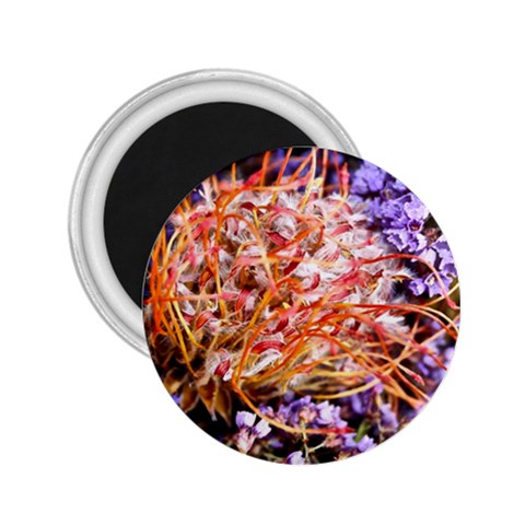  Purple Baby s Breath and Dried Orange Protea  by Ruth Edward Anderson Front