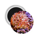  Purple Baby s Breath and Dried Orange Protea  by Ruth Edward Anderson - 2.25  Magnet