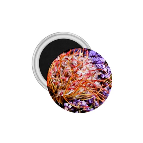  Purple Baby s Breath and Dried Orange Protea  by Ruth Edward Anderson Front