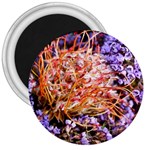  Purple Baby s Breath and Dried Orange Protea  by Ruth Edward Anderson - 3  Magnet