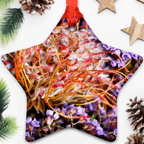  Purple Baby s Breath and Dried Orange Protea  by Ruth Edward Anderson Front