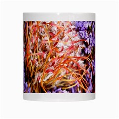  Purple Baby s Breath and Dried Orange Protea  by Ruth Edward Anderson Center