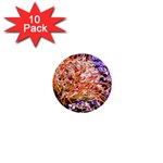  Purple Baby s Breath and Dried Orange Protea  by Ruth Edward Anderson - 1  Mini Button (10 pack) 