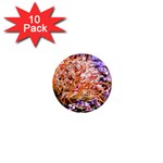  Purple Baby s Breath and Dried Orange Protea  by Ruth Edward Anderson - 1  Mini Magnet (10 pack) 