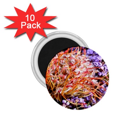  Purple Baby s Breath and Dried Orange Protea  by Ruth Edward Anderson Front