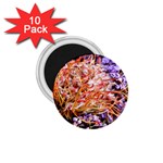  Purple Baby s Breath and Dried Orange Protea  by Ruth Edward Anderson - 1.75  Magnet (10 pack) 