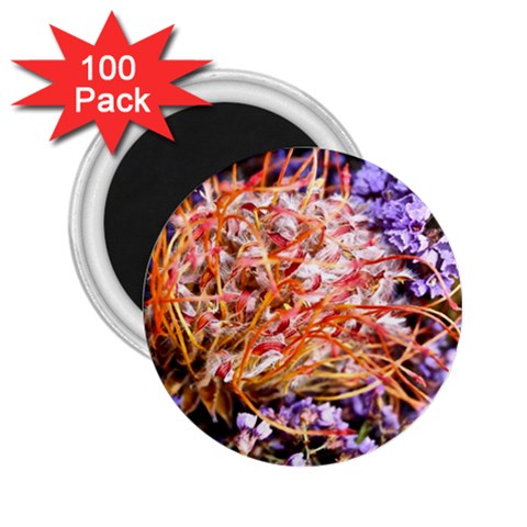  Purple Baby s Breath and Dried Orange Protea  by Ruth Edward Anderson Front