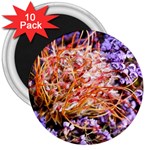  Purple Baby s Breath and Dried Orange Protea  by Ruth Edward Anderson - 3  Magnet (10 pack)