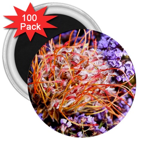  Purple Baby s Breath and Dried Orange Protea  by Ruth Edward Anderson Front