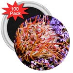  Purple Baby s Breath and Dried Orange Protea  by Ruth Edward Anderson - 3  Magnet (100 pack)