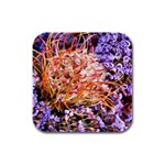  Purple Baby s Breath and Dried Orange Protea  by Ruth Edward Anderson - Rubber Square Coaster (4 pack)