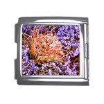  Purple Baby s Breath and Dried Orange Protea  by Ruth Edward Anderson - Mega Link Italian Charm (18mm)