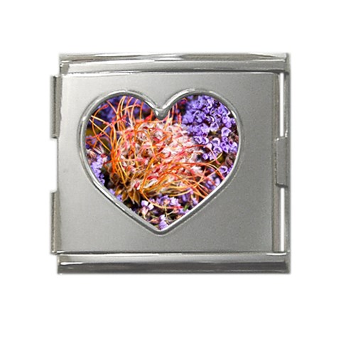  Purple Baby s Breath and Dried Orange Protea  by Ruth Edward Anderson Front