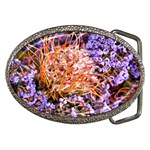  Purple Baby s Breath and Dried Orange Protea  by Ruth Edward Anderson - Belt Buckle
