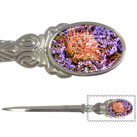  Purple Baby s Breath and Dried Orange Protea  by Ruth Edward Anderson Front