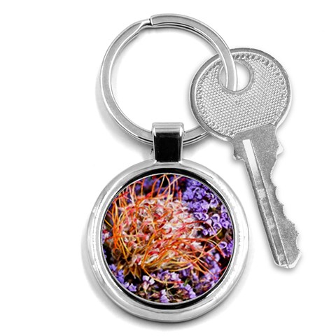  Purple Baby s Breath and Dried Orange Protea  by Ruth Edward Anderson Front