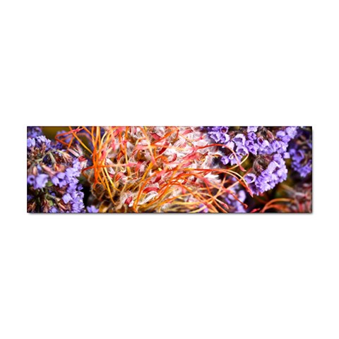  Purple Baby s Breath and Dried Orange Protea  by Ruth Edward Anderson Front