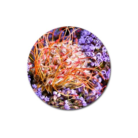  Purple Baby s Breath and Dried Orange Protea  by Ruth Edward Anderson Front