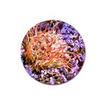  Purple Baby s Breath and Dried Orange Protea  by Ruth Edward Anderson - Magnet 3  (Round)