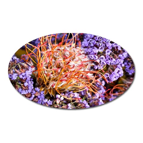  Purple Baby s Breath and Dried Orange Protea  by Ruth Edward Anderson Front