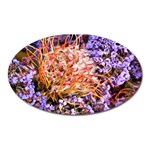  Purple Baby s Breath and Dried Orange Protea  by Ruth Edward Anderson - Magnet (Oval)