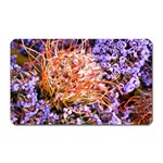  Purple Baby s Breath and Dried Orange Protea  by Ruth Edward Anderson - Magnet (Rectangular)