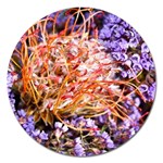  Purple Baby s Breath and Dried Orange Protea  by Ruth Edward Anderson - Magnet 5  (Round)